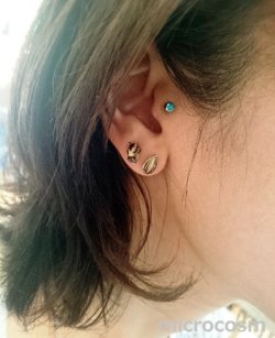 画像4: DECO シマリスとヒマワリの種ピアス/イヤリングGD