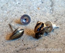 画像5: DECO シマリスとヒマワリの種ピアス/イヤリングGD