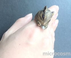 画像8: DECO 大きなシマリスリングGD