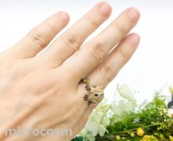 画像6: DECO モモンガリング