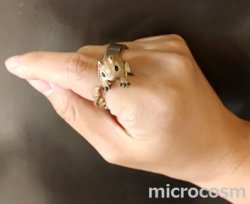 画像5: DECO モモンガリング