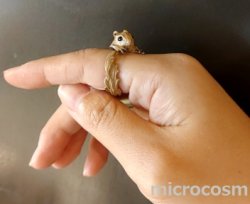 画像8: DECO モモンガリング