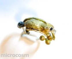 画像6: DECO モモンガと木の実のリング(シルバー)