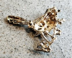 画像4: ビジューブローチ/野鳥YE