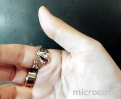 画像9: DECO コウモリリングSV