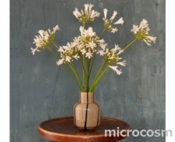 画像2: フラワーベースLINEA/IV