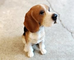 画像3: アニマルオブジェ/お座りビーグル小