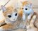 画像1: アニマルオブジェ/親子のビスケットとら猫 (1)