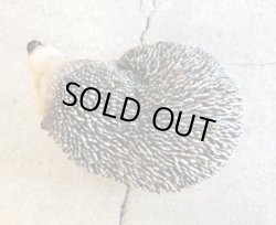 画像4: アニマルオブジェ/ハリネズミ(右上向き)