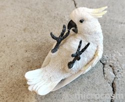 画像1: 白オウムペンホルダー