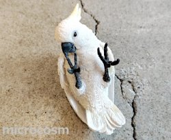 画像5: 白オウムペンホルダー