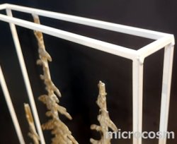 画像7: LEDウォールツリーGD