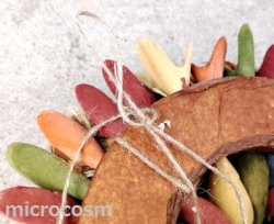 画像3: カラフルリース/サーキュラントS