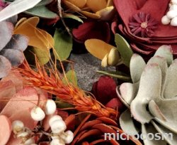 画像4: カラフルリース/サーキュラントS