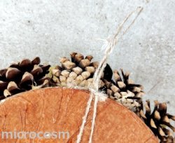 画像5: ナチュラルリース/GRリーフ＆アップルSS