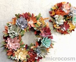 画像5: カラフルリース/サーキュラントS