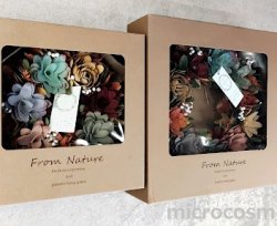 画像8: カラフルリース/サーキュラントS