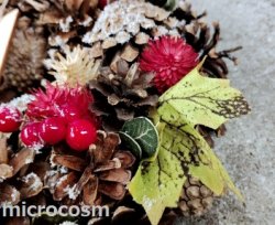 画像8: ナチュラルリース/GRリーフ＆アップルSS