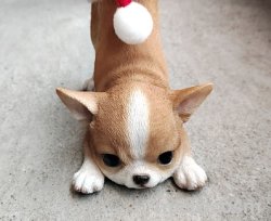 画像4: アニマルオブジェ/サンタチワワ