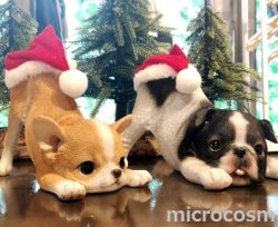 画像3: アニマルオブジェ/サンタチワワ