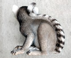 画像6: アニマルオブジェ/キツネザルの子ども