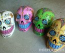 画像: 商品入荷：店舗情報--Candy Skull Bank他