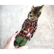 画像3: ナタリー・レテ 壁掛け時計/キャットtabby (3)