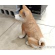 画像6: アニマルオブジェ/お座り秋田犬 大 (6)