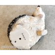 画像6: アニマルオブジェ/ハリネズミ(右上向き) (6)