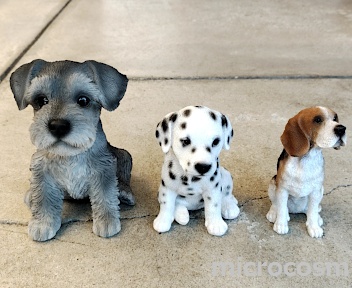 画像: 更新情報：商品追加--アニマルオブジェ