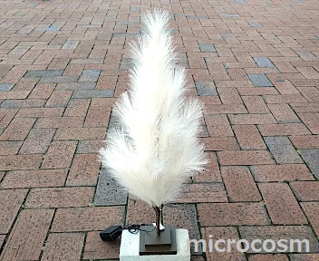 画像: ◆商品入荷＆更新情報--パンパスツリー