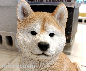 画像: アニマルオブジェ/お座り秋田犬 大